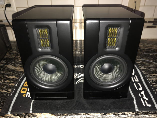 Scansonic  MK-5 Ribbon Monitors with Kevlar woofers/NIC...