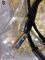 Shunyata Research Anaconda Zitron RCA cables 1m 2
