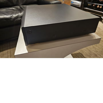 DS Audio DS-w2