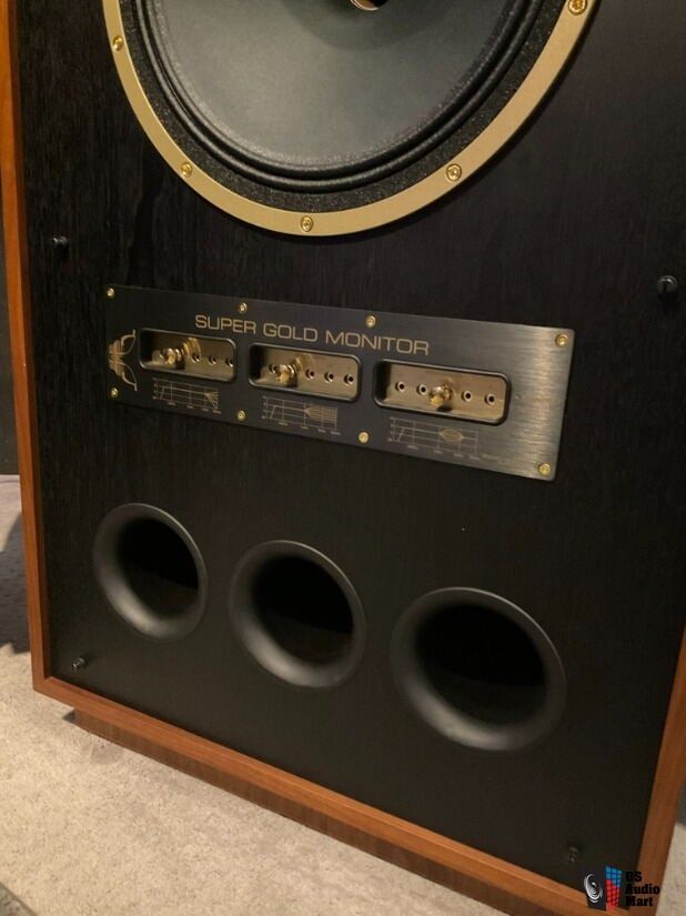 Tannoy SGM-15 10