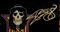 Guns N Roses Appetite for Destruction - band signed, CO... 5