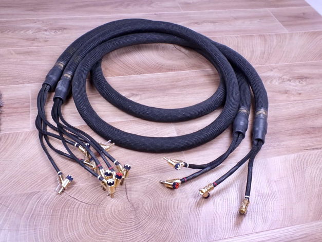 Kimber Kable BiFocal X audio speaker cables 2,5 metre