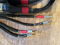 Elrod Power Systems Master Series Gold Speaker Cables -... 3