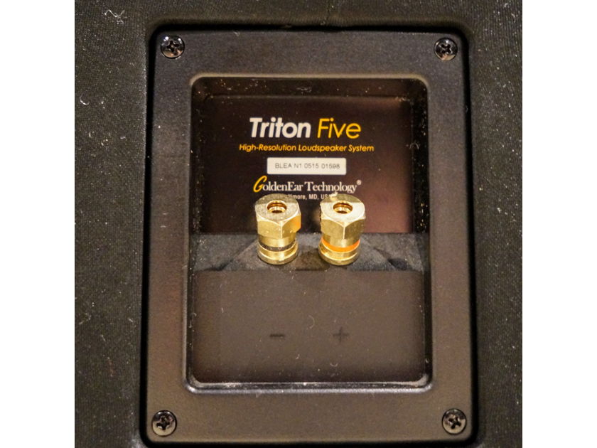 GoldenEar Technology Triton Five