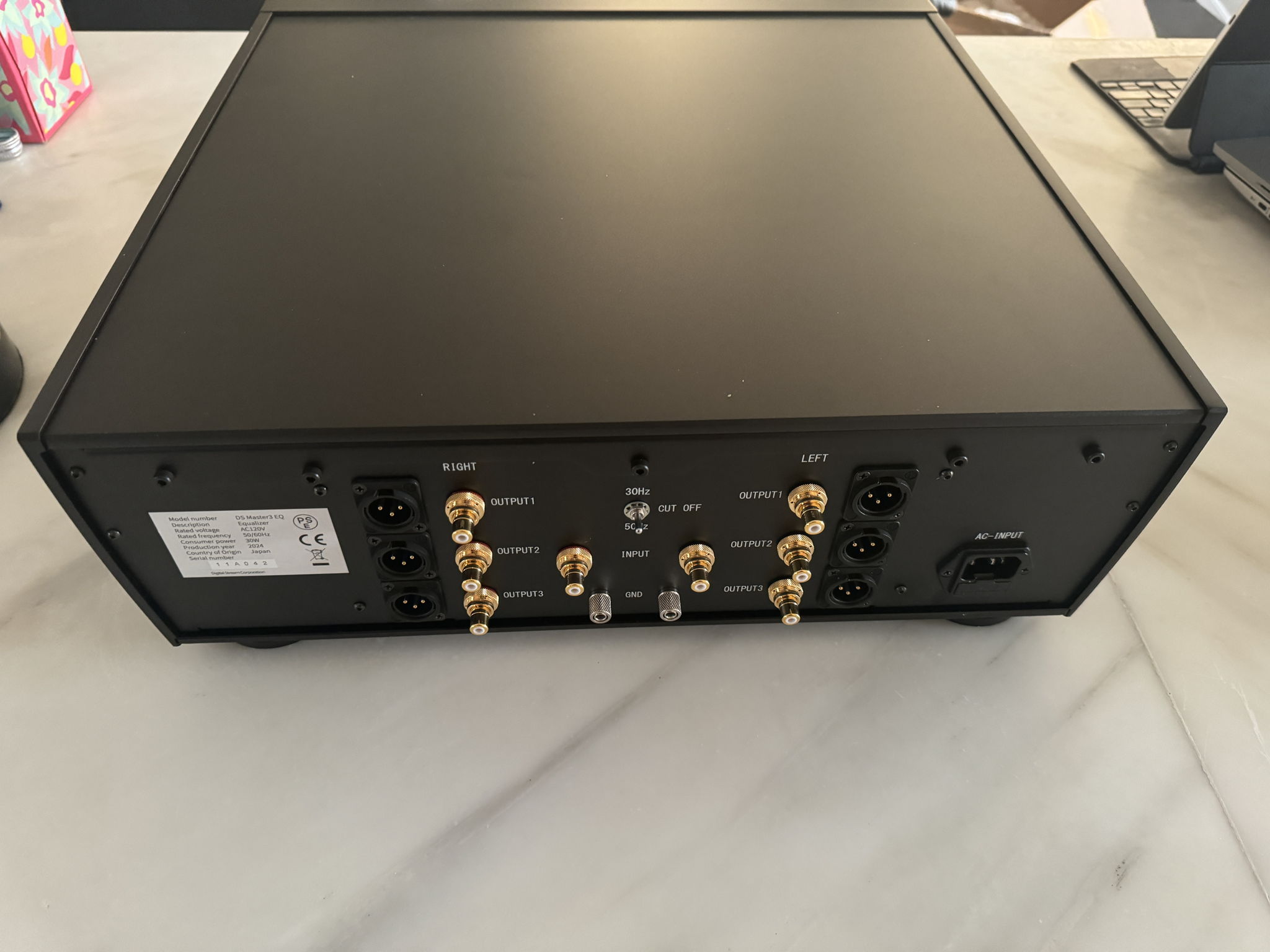 DS Audio M3 Phono Equalizer (rear)