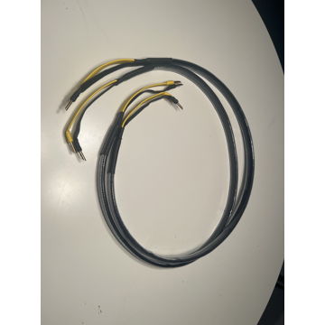 Analysis Plus Inc. Oval 9 Speaker Cables 4’