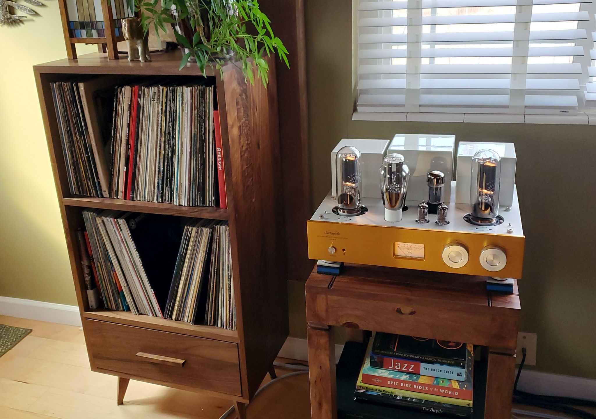Line Magnetic LM-518 with a few of my 3,000 records.