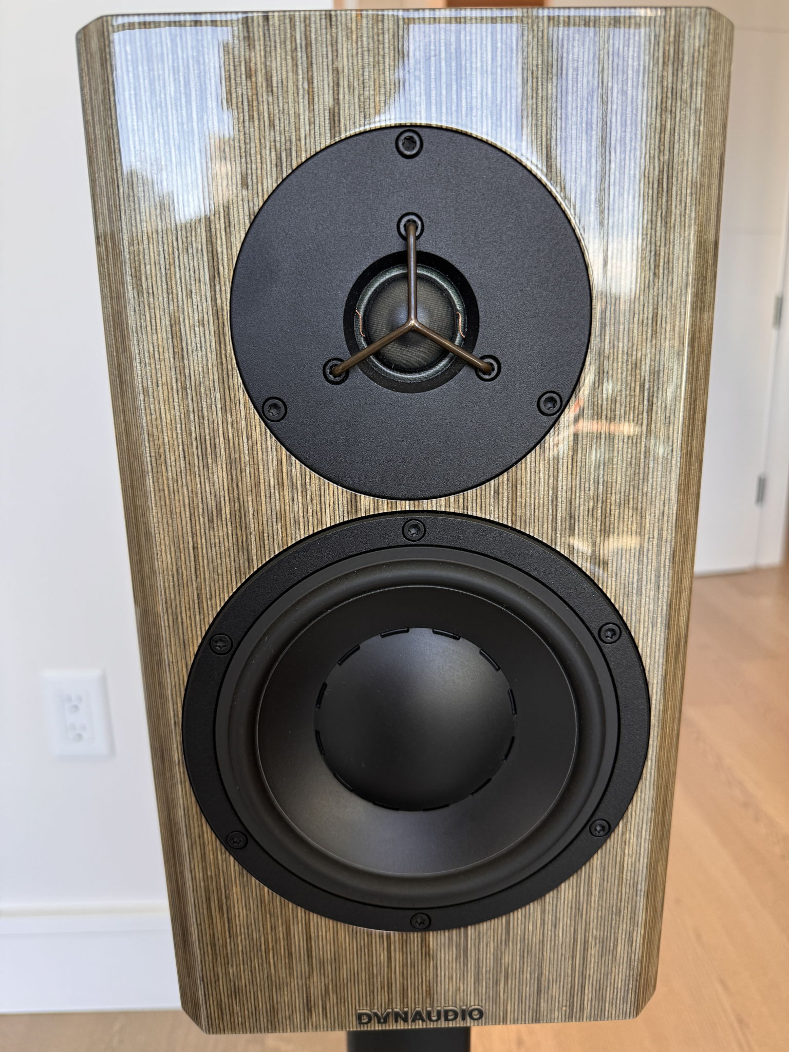 Dynaudio Special Anniversary 40 Grey Birch High Gloss 2