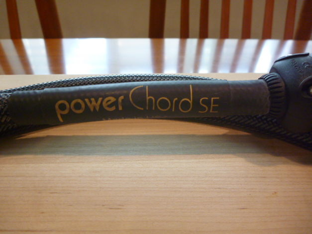 Audience PowerChord SE 6 foot. PP and shipping included