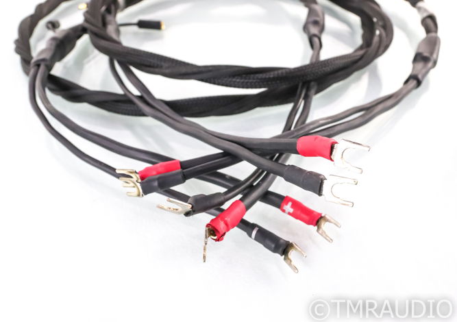 Synergistic Research Element Tungsten Speaker Cables; 8...