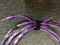XLO Electric UltraPlus Speaker Cable 10ft Demo 2