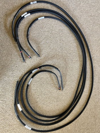 Echole 8.4 ft Omnia speaker cables