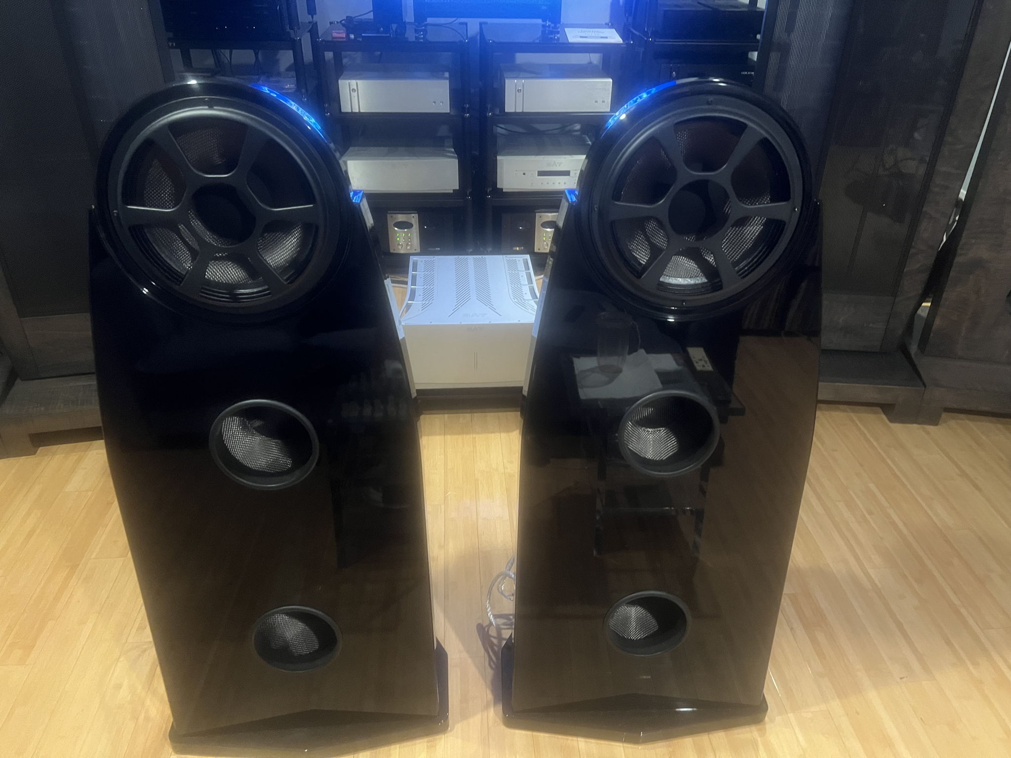 Emerald Physics EP2.8 Carbon Drivers and Neo Tweeter Si...