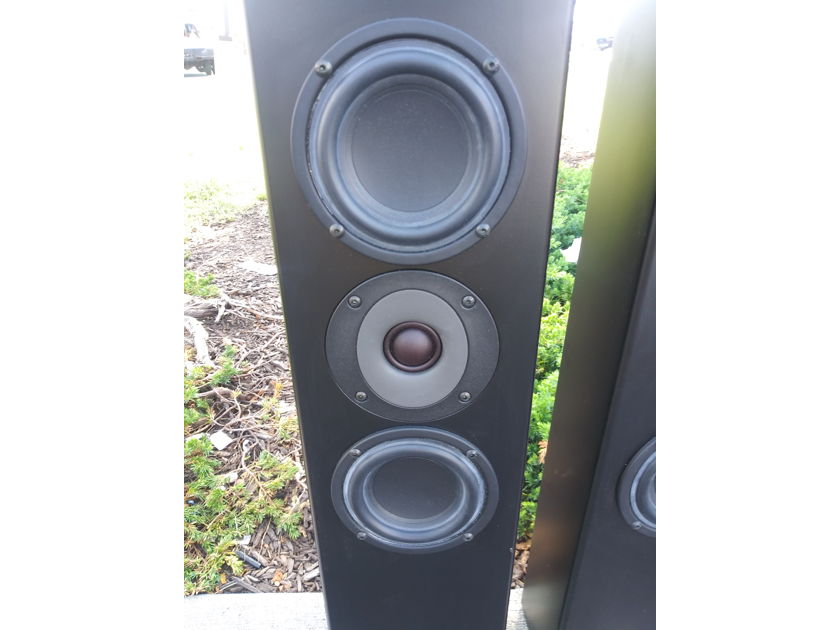 Tribe 2 acoustic speakers pair of them