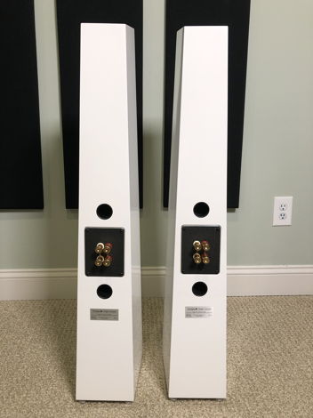 Totem Acoustic Tribe Towers Gloss White Pair