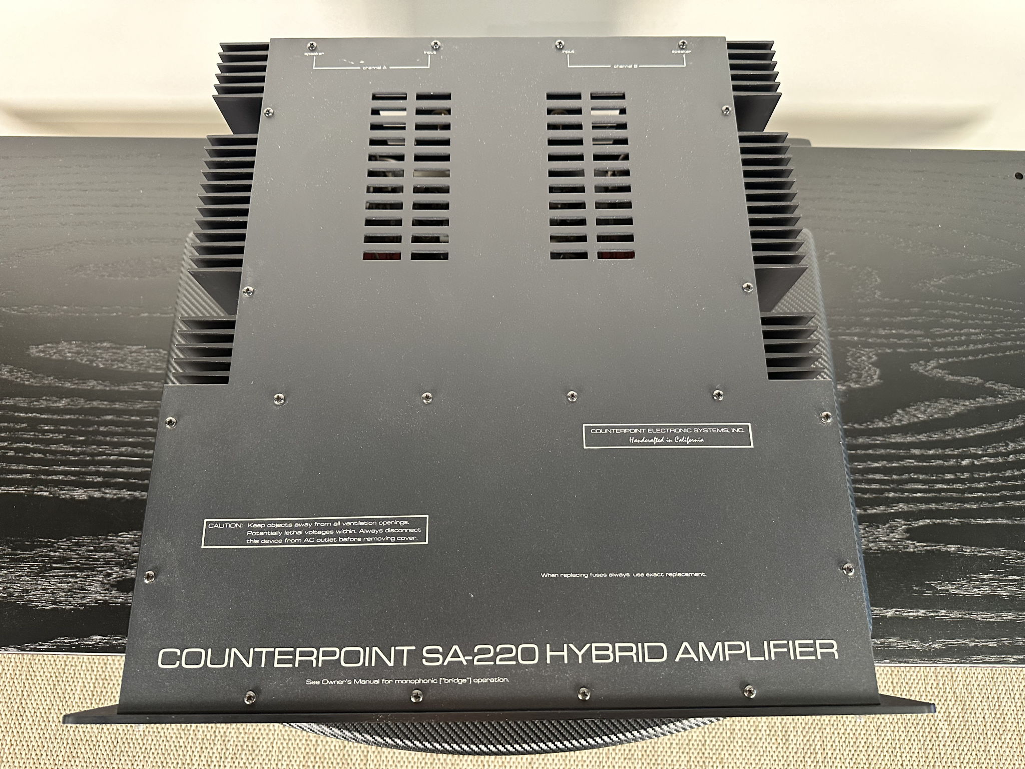 Counterpoint SA-220 Hybrid Power Amplifier 2