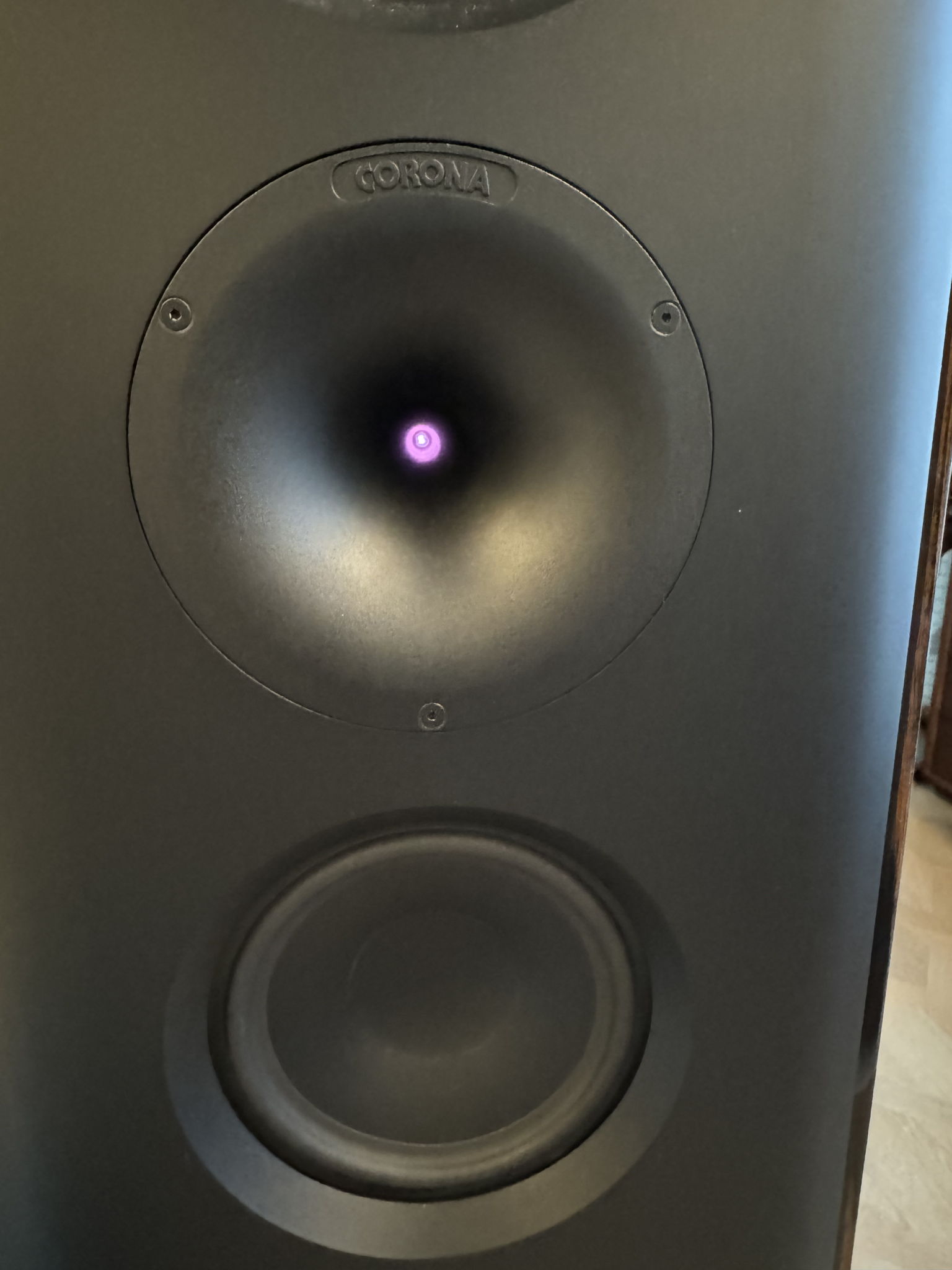 Lansche Audio No 7.2 - PLASMA tweeter 9