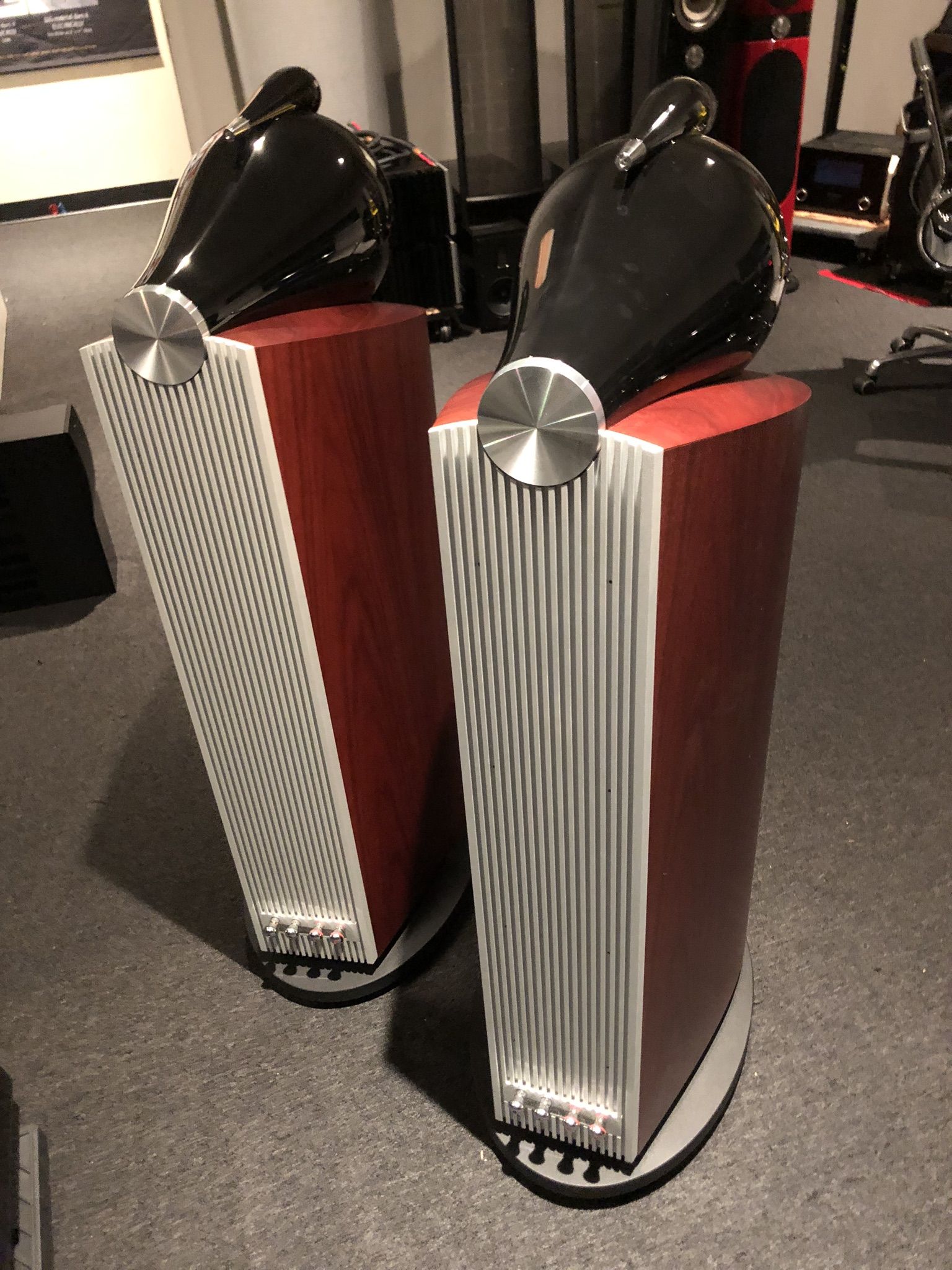 B&W (Bowers & Wilkins) 802D3 rosewood 3