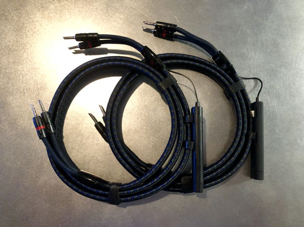 AudioQuest Gibraltar Speaker Cables 6’ Pair with 72v DBS