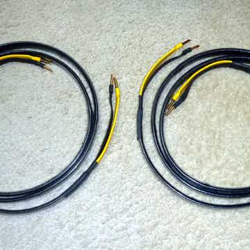 analysis-plus-black-oval-reviews