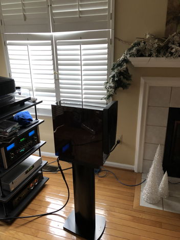 Dynaudio Confidence C1 Platinum with Dynaudio stands