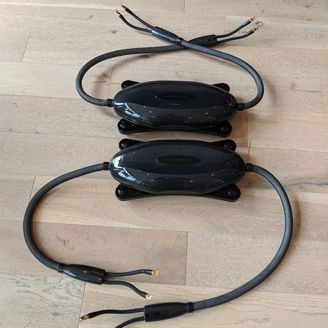 Transparent Opus Speaker Cable, GEN5, 8' Pair
