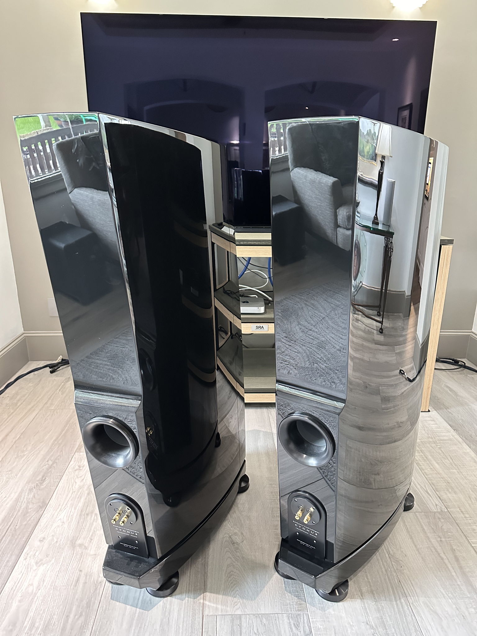 Rockport Technologies Cygnus Full Range Speakers Custom... 7