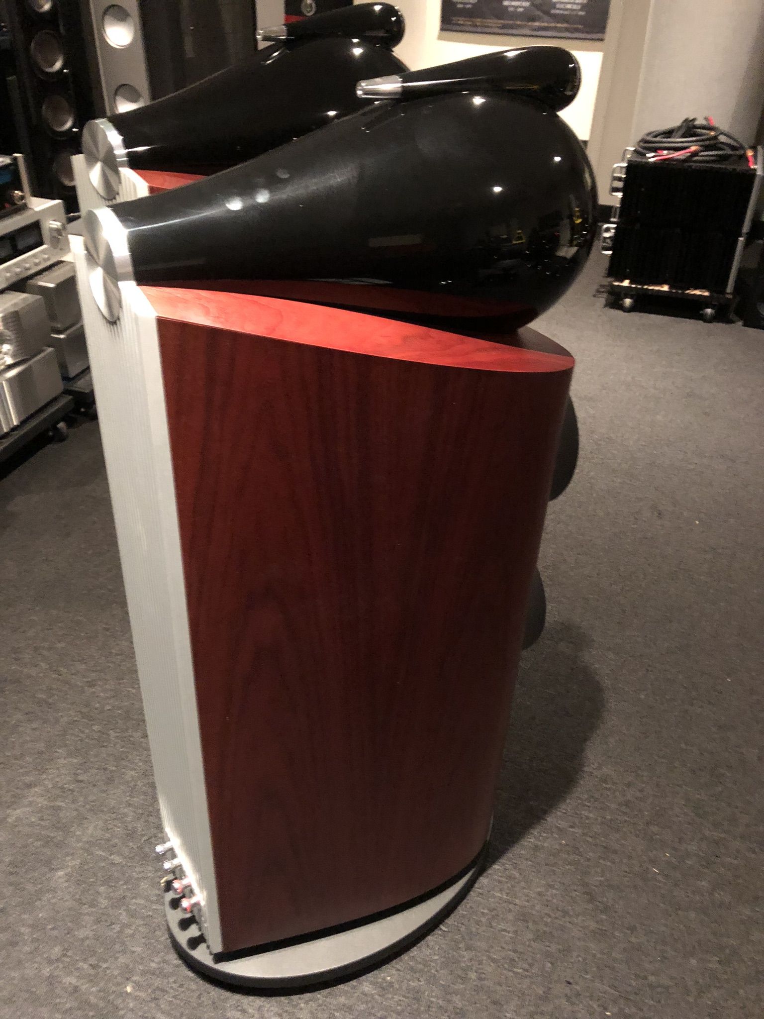 B&W (Bowers & Wilkins) 802D3 rosewood