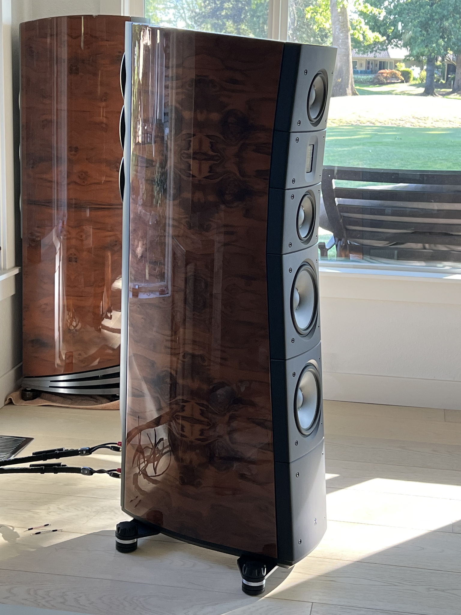 Raidho Acoustics TD 3.8's