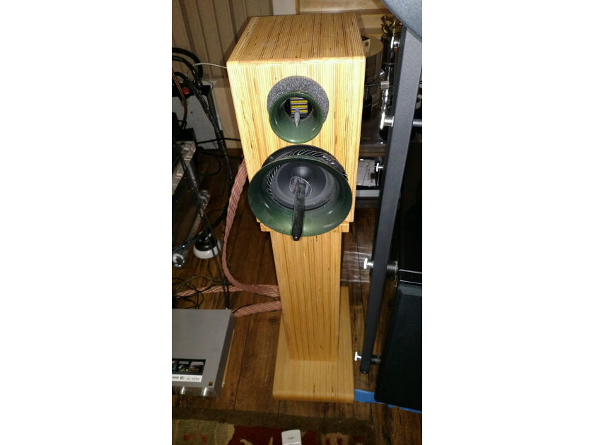 Wavetouch Audio Grand Teton  OMG rare and incredible sounding monitors