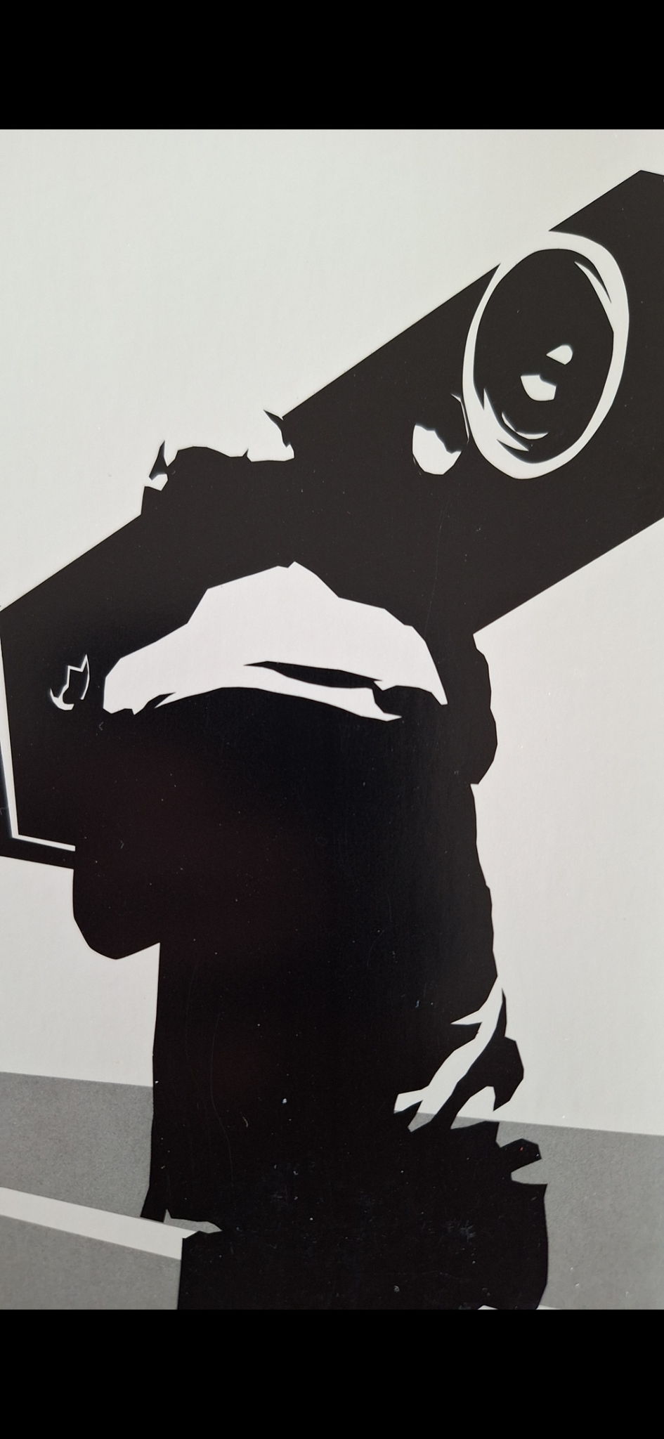 ZU AUDIO model WAX Loudspeaker Cables 2.5 meters (8' 2 ... 6