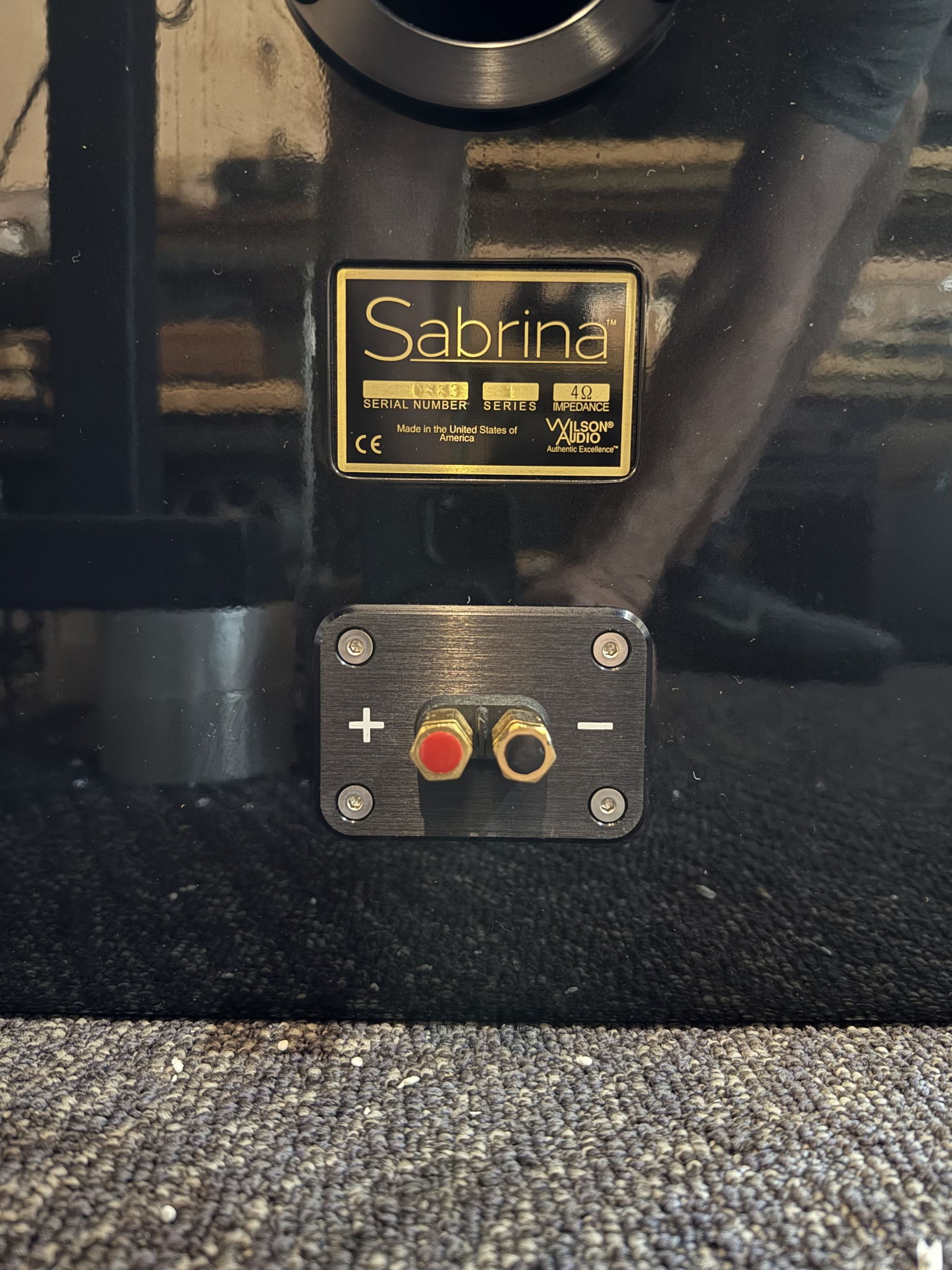 Wilson Audio Sabrina 6