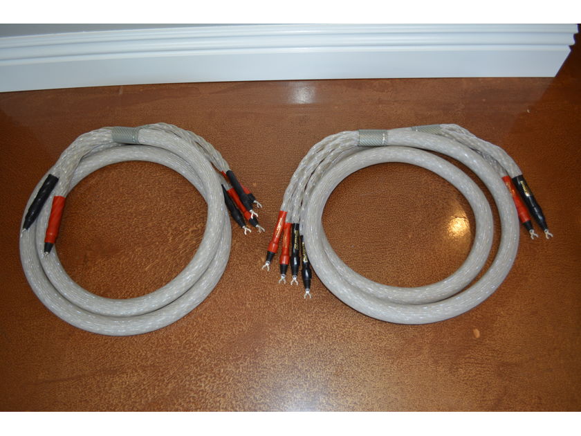 Stealth Audio Cables Cloude Grande Speaker Cables - 10ft - Stealth's Reference - MSRP $18,500!