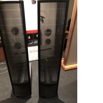 Martin Logan Summit X ash black