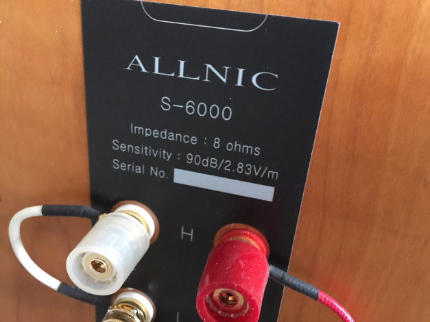 Allnic Audio S6000 Coaxial Monitors