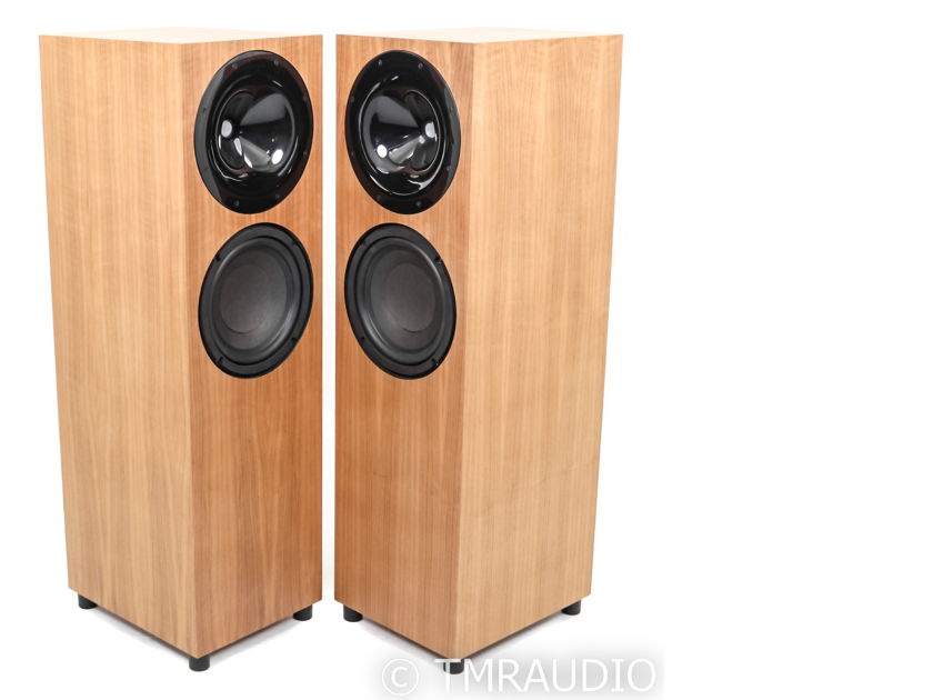 Audio Kinesis Custom Jazz Module Floorstan... For Sale Audiogon