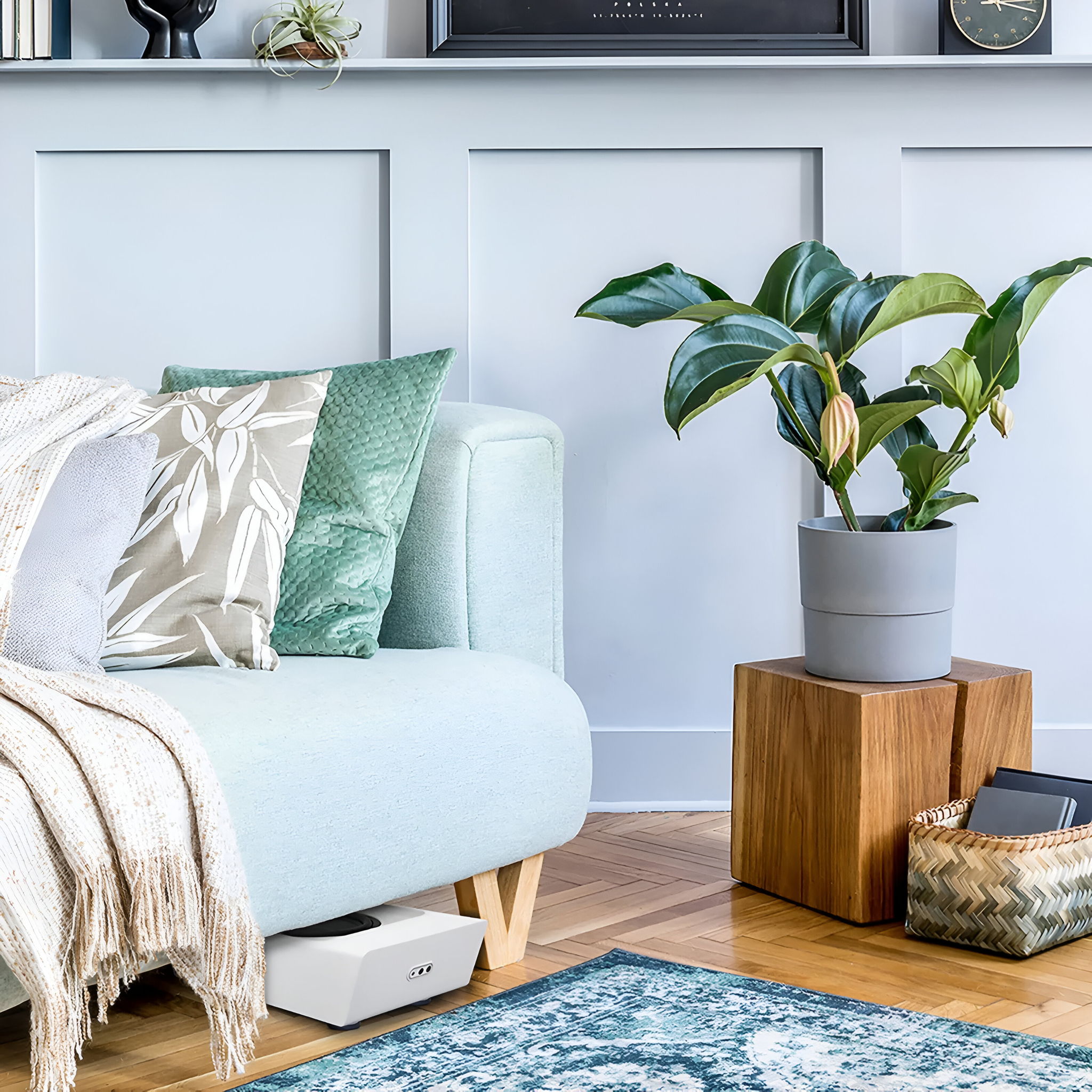 Bluesound PULSE SUB+ Wireless "Place Anywhere" Powered ... 3