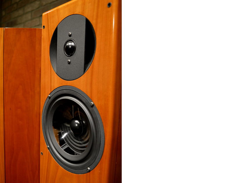 Vienna Acoustics Bach Grand - Floorstandin For Sale | Audiogon