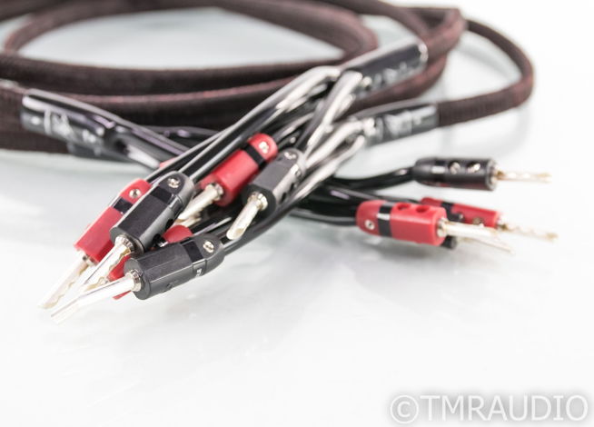 AudioQuest Rocket 33 Bi-Wire Speaker Cables; 10ft Pair ...
