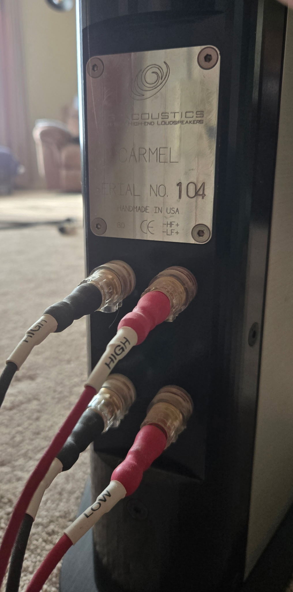 YG Acoustics Carmel 6