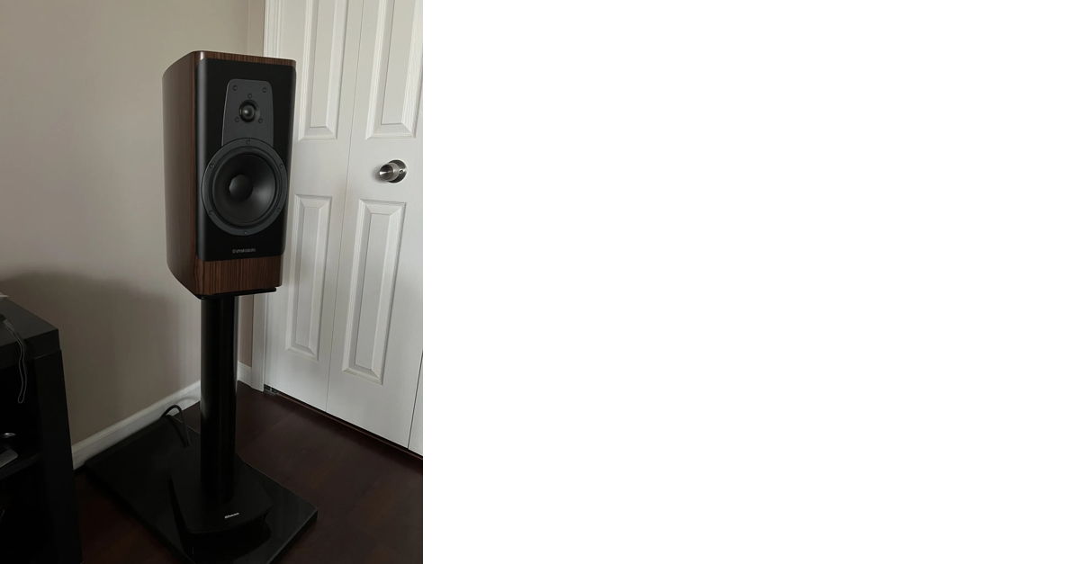 Dynaudio contour 20 stands deals