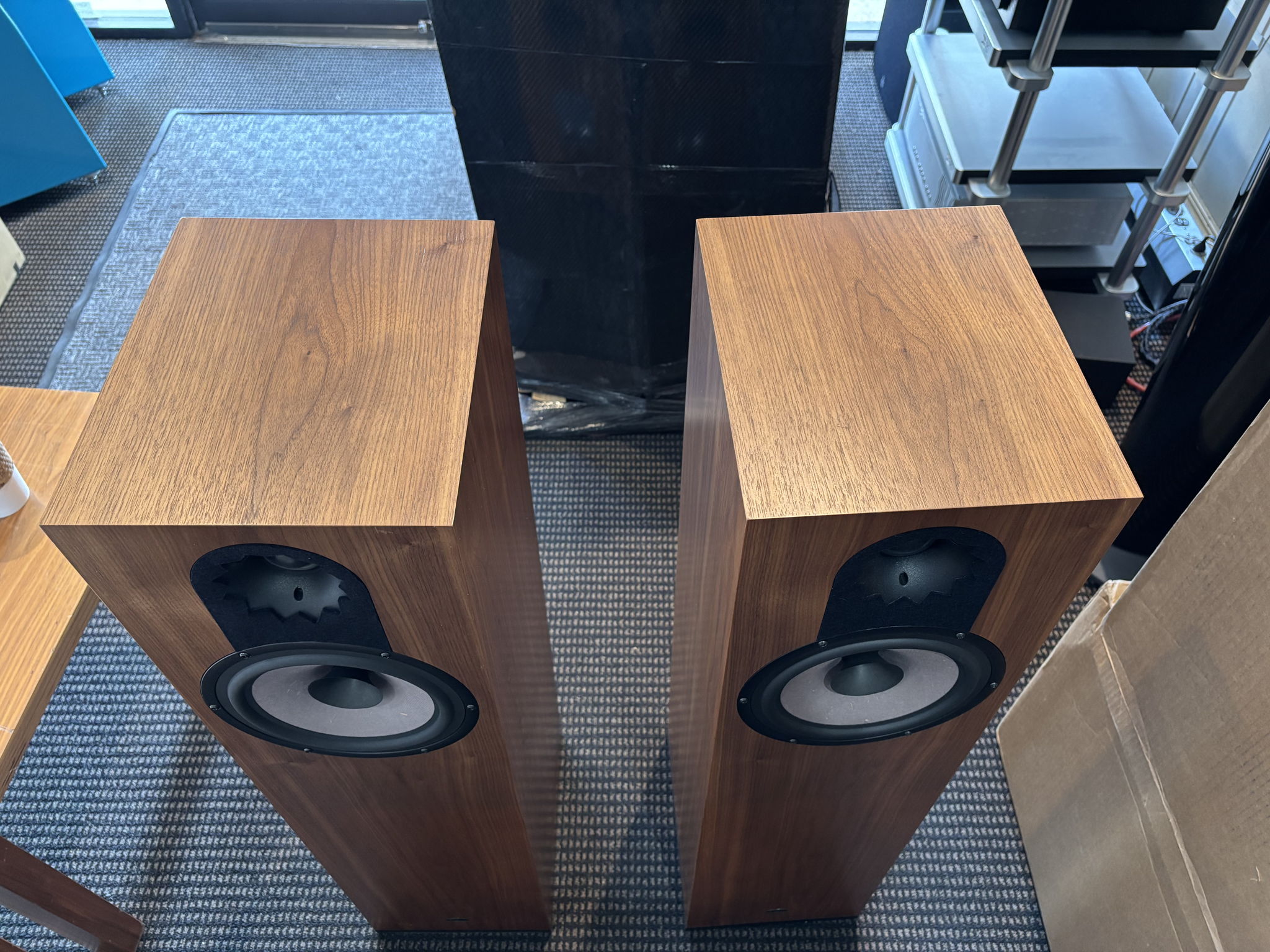 QLN Sonora Loudspeakers in Walnut Matte 4
