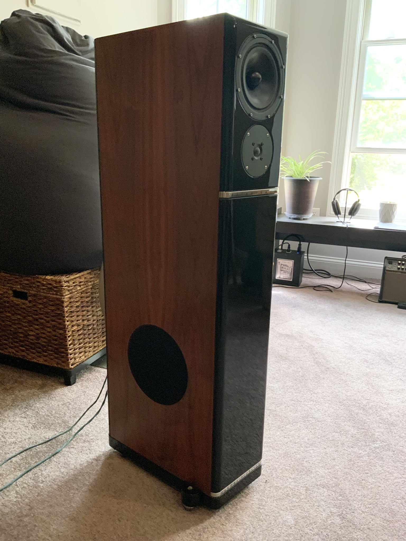 DeVore Fidelity Silverback Reference in Walnut 6