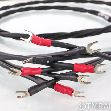 Synergistic Research Element Tungsten (W) Speaker Cable...