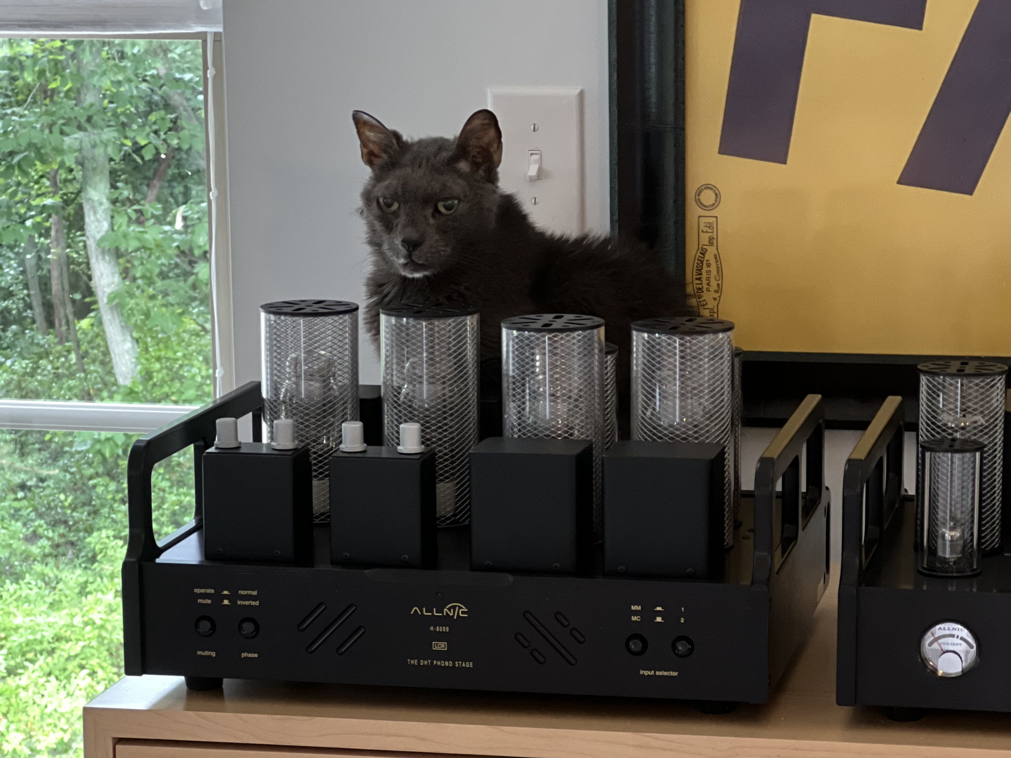 Allnic H8000 DHT, Wilbur’s checking out the new phono stage