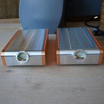 Dan D'Agostino Momentum M400 Monoblock Amplifier pair, ...