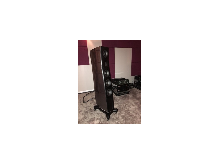 Raidho D3.1 Loudspeaker-Special Finish with Diamond Feet-Lower Price!