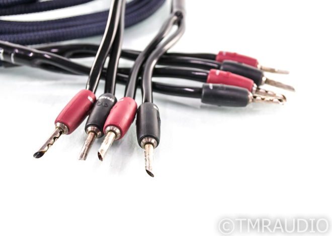 AudioQuest Type 4 Speaker Cables; 10ft Pair (25665)