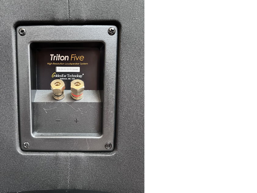 GoldenEar Technology Triton 5 Speakers Audiogon