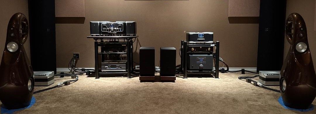 Vivid Audio Giya G3 Series 2 in beautiful BMW Chestnut ... 6